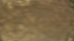 Spodní část sjezdovky skiareálu Karolinka