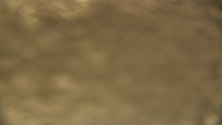 Spodní část sjezdovky skiareálu Karolinka