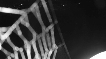 Snímek    19.9.2025 v 03:30