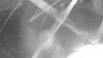 Snímek    19.10.2025 v 03:00