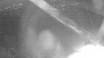 Snímek    19.10.2025 v 04:30