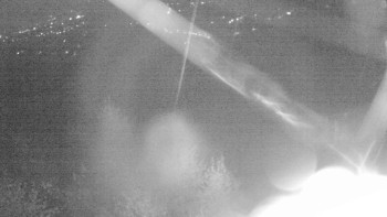 Snímek    19.10.2025 v 05:00