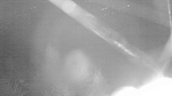 Snímek    19.10.2025 v 05:30