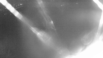 Snímek    25.10.2025 v 00:00