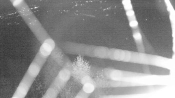 Snímek    31.10.2025 v 00:00