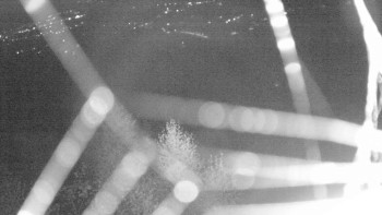 Snímek    31.10.2025 v 05:00