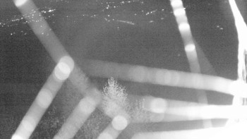 Snímek    31.10.2025 v 05:30