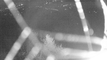 Snímek    31.10.2025 v 23:00