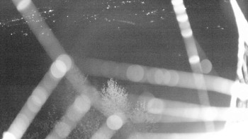 Snímek    31.10.2025 v 23:30