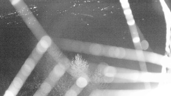 Snímek    1.11.2025 v 00:00