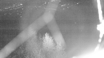 Snímek    1.11.2025 v 03:00