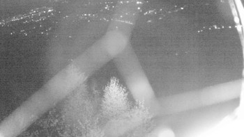 Snímek    1.11.2025 v 17:30