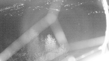 Snímek    1.11.2025 v 18:00