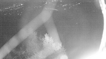 Snímek    2.11.2025 v 03:30