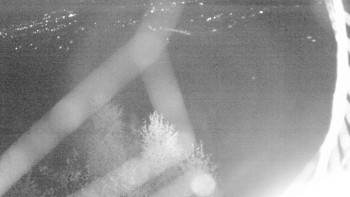 Snímek    2.11.2025 v 05:30