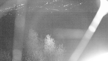 Snímek 14.11.2025 v 03:00