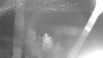 Snímek    14.11.2025 v 05:30