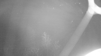 Snímek 15.11.2025 v 17:00