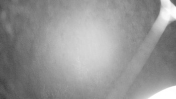 Snímek 15.11.2025 v 18:30