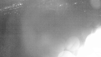 Snímek    18.11.2025 v 06:00