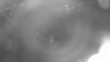 Snímek    24.11.2025 v 04:30