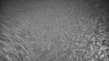 Snímek 9.11.2025 v 21:30