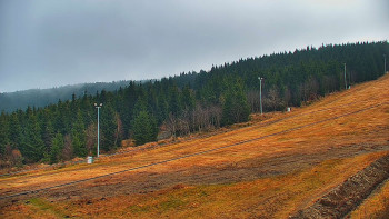 Snímek 15.11.2025 v 11:30