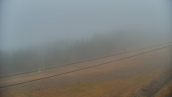 Snímek 15.11.2025 v 14:30