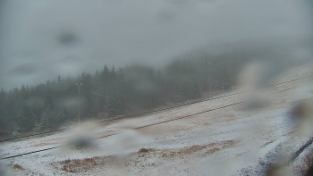 Snímek 17.11.2025 v 14:30