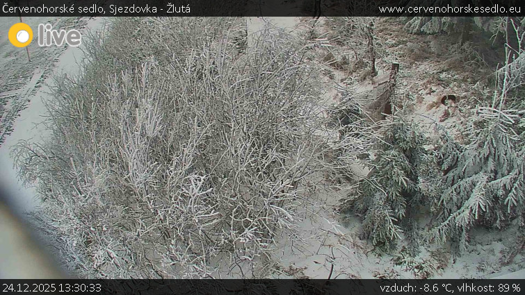 Červenohorské sedlo - Sjezdovka - Žlutá - 24.12.2025 v 13:30