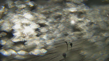 Červenohorské sedlo