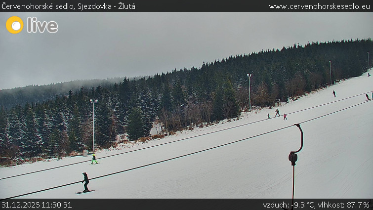 Červenohorské sedlo - Sjezdovka - Žlutá - 31.12.2025 v 11:30