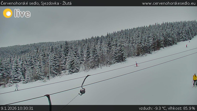 Červenohorské sedlo - Sjezdovka - Žlutá - 9.1.2026 v 10:30