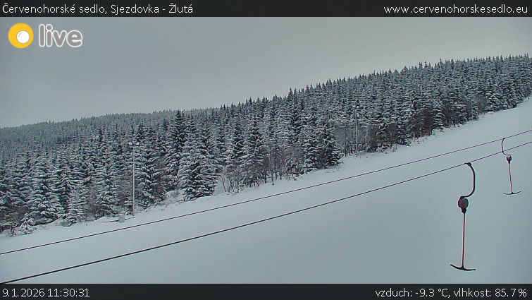Červenohorské sedlo - Sjezdovka - Žlutá - 9.1.2026 v 11:30