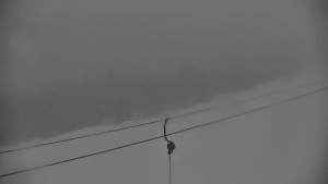 Červenohorské sedlo - Sjezdovka - Žlutá - 31.3.2026 v 06:00 Červenohorské sedlo - Sjezdovka - Žlutá - 31.3.2026 v 06:00