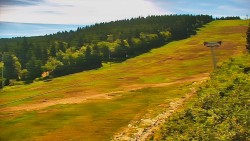 Sjezdovka - Žlutá