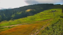 Sjezdovka - Žlutá