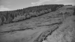 Sjezdovka - Žlutá