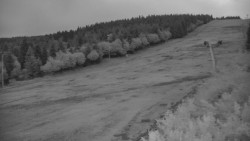 Sjezdovka - Žlutá