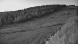 Sjezdovka - Žlutá