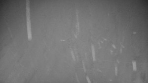 Červenohorské sedlo - Sjezdovka "spojka" - 9.12.2025 v 05:30 Červenohorské sedlo - Sjezdovka "spojka" - 9.12.2025 v 05:30