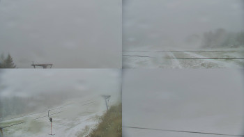 Snímek    15.5.2025 v 09:01