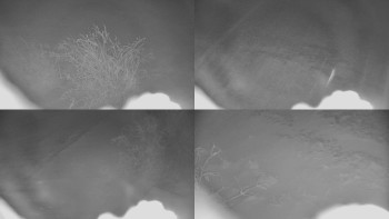 Červenohorské sedlo