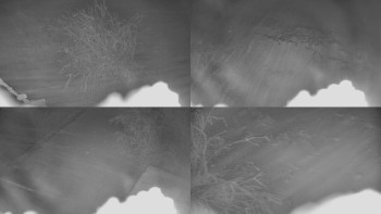 Červenohorské sedlo