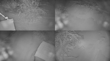 Červenohorské sedlo