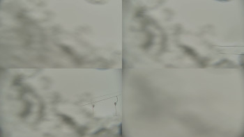 Červenohorské sedlo