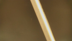 Restaurace U Vleku a parkoviště