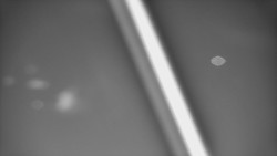 Restaurace U Vleku a parkoviště