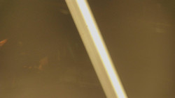 Restaurace U Vleku a parkoviště