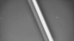 Restaurace U Vleku a parkoviště